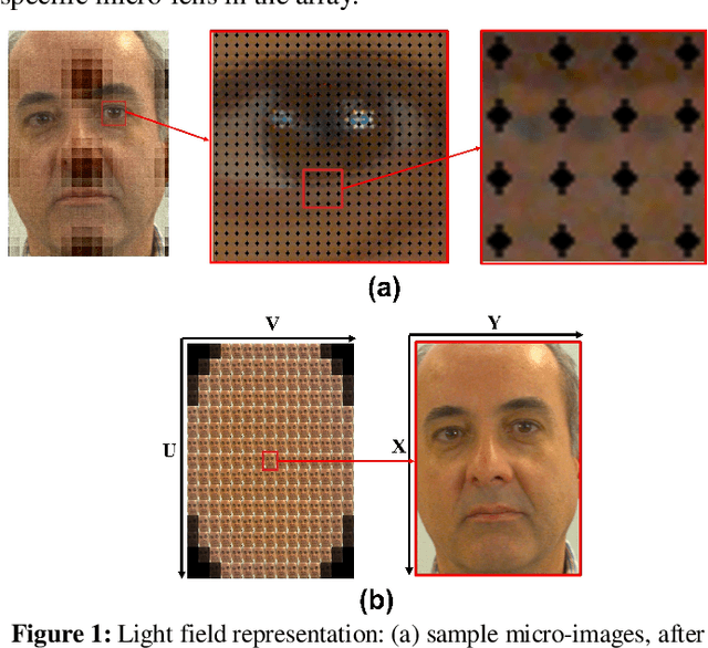 Figure 1 for A Double-Deep Spatio-Angular Learning Framework for Light Field based Face Recognition