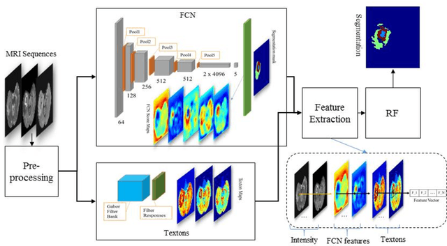 Figure 1 for Multimodal MRI brain tumor segmentation using random forests with features learned from fully convolutional neural network