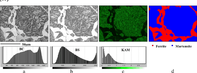 Figure 3 for Deep Learning for automated phase segmentation in EBSD maps. A case study in Dual Phase steel microstructures