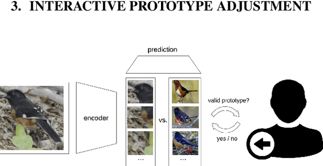 Figure 2 for But that's not why: Inference adjustment by interactive prototype deselection