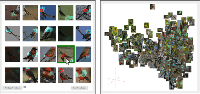 Figure 3 for But that's not why: Inference adjustment by interactive prototype deselection