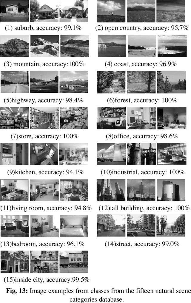 Figure 4 for Jointly Learning Structured Analysis Discriminative Dictionary and Analysis Multiclass Classifier