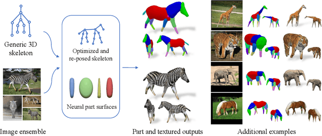 Figure 1 for LASSIE: Learning Articulated Shapes from Sparse Image Ensemble via 3D Part Discovery