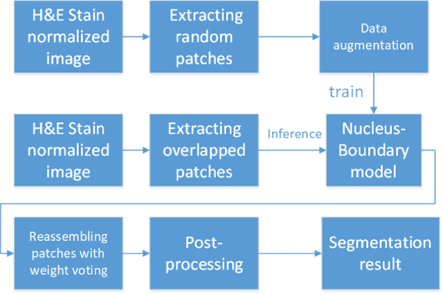 Figure 3 for A Deep Learning Algorithm for One-step Contour Aware Nuclei Segmentation of Histopathological Images