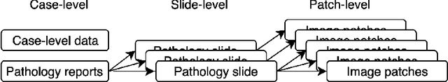 Figure 1 for Multimodal Multitask Representation Learning for Pathology Biobank Metadata Prediction