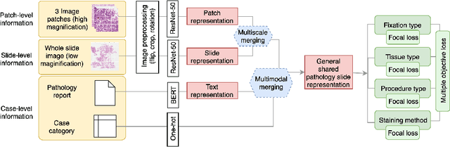 Figure 4 for Multimodal Multitask Representation Learning for Pathology Biobank Metadata Prediction