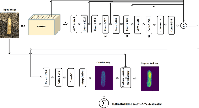 Figure 3 for DeepCorn: A Semi-Supervised Deep Learning Method for High-Throughput Image-Based Corn Kernel Counting and Yield Estimation
