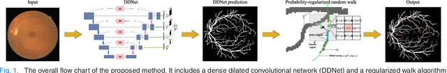 Figure 1 for Dense Dilated Network with Probability Regularized Walk for Vessel Detection