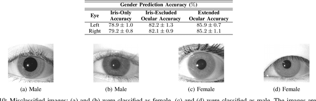 Figure 2 for Predicting Gender and Race from Near Infrared Iris and Periocular Images