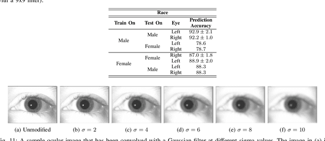 Figure 3 for Predicting Gender and Race from Near Infrared Iris and Periocular Images