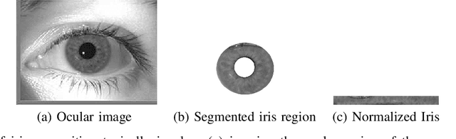 Figure 1 for Predicting Gender and Race from Near Infrared Iris and Periocular Images