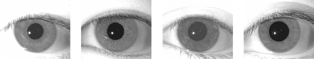 Figure 4 for Predicting Gender and Race from Near Infrared Iris and Periocular Images