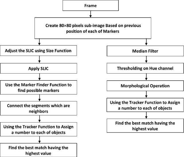 Figure 2 for Superpixels Based Marker Tracking Vs. Hue Thresholding In Rodent Biomechanics Application