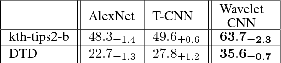 Figure 4 for Wavelet Convolutional Neural Networks
