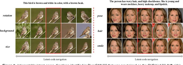 Figure 1 for OptGAN: Optimizing and Interpreting the Latent Space of the Conditional Text-to-Image GANs