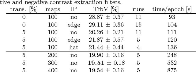 Figure 4 for High-Performance Neural Networks for Visual Object Classification