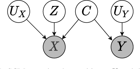Figure 1 for Bias Challenges in Counterfactual Data Augmentation