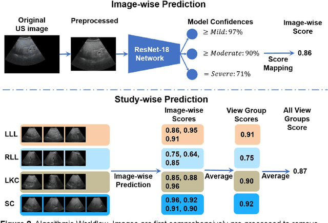 Figure 3 for Accurate and Generalizable Quantitative Scoring of Liver Steatosis from Ultrasound Images via Scalable Deep Learning