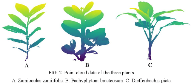 Figure 3 for Automated classification of stems and leaves of potted plants based on point cloud data