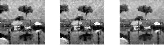 Figure 4 for Image Denoising Inspired by Quantum Many-Body physics
