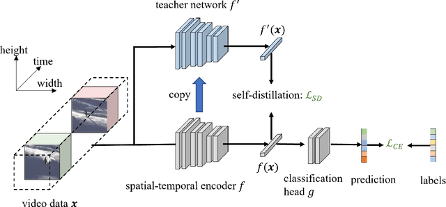 Figure 1 for Preserve Pre-trained Knowledge: Transfer Learning With Self-Distillation For Action Recognition