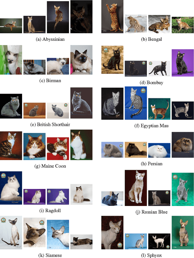 Figure 3 for Spotlight the Negatives: A Generalized Discriminative Latent Model