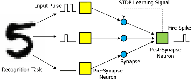 Figure 1 for Synchronous Unsupervised STDP Learning with Stochastic STT-MRAM Switching