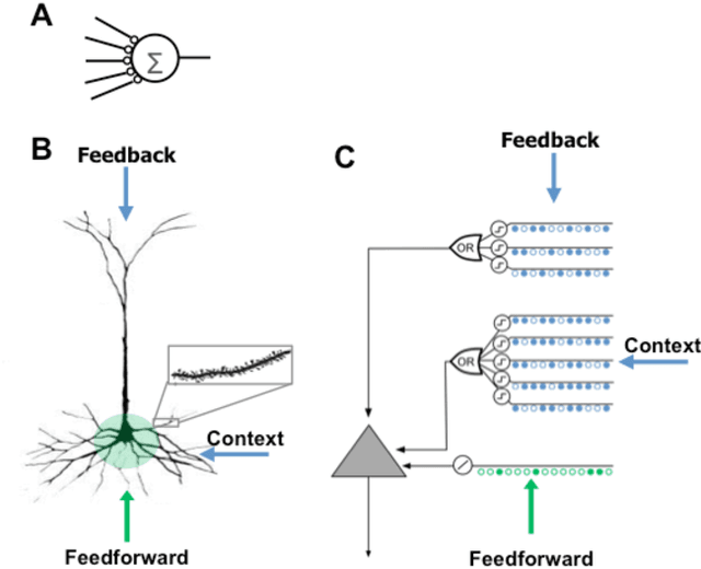 Figure 1 for Why Neurons Have Thousands of Synapses, A Theory of Sequence Memory in Neocortex