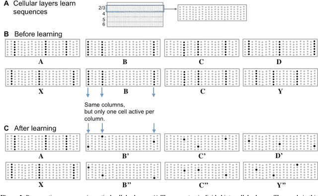 Figure 2 for Why Neurons Have Thousands of Synapses, A Theory of Sequence Memory in Neocortex