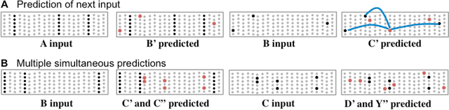 Figure 3 for Why Neurons Have Thousands of Synapses, A Theory of Sequence Memory in Neocortex