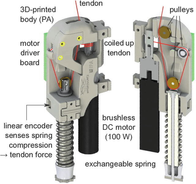 Figure 2 for Scalability in Neural Control of Musculoskeletal Robots