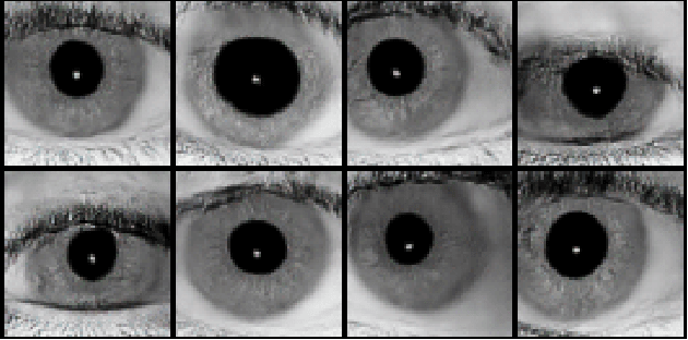 Figure 1 for Iris-GAN: Learning to Generate Realistic Iris Images Using Convolutional GAN