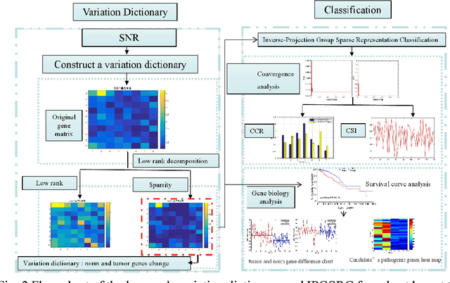 Figure 1 for Low Rank Variation Dictionary and Inverse Projection Group Sparse Representation Model for Breast Tumor Classification