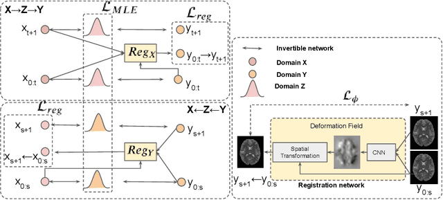 Figure 4 for Flow-based Deformation Guidance for Unpaired Multi-Contrast MRI Image-to-Image Translation