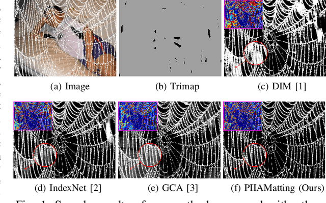 Figure 1 for Prior-Induced Information Alignment for Image Matting