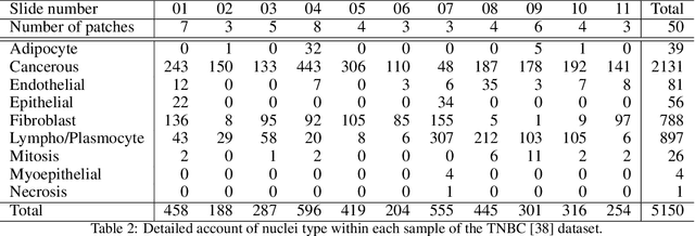 Figure 3 for Scale dependant layer for self-supervised nuclei encoding
