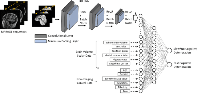 Figure 3 for Predicting Rate of Cognitive Decline at Baseline Using a Deep Neural Network with Multidata Analysis