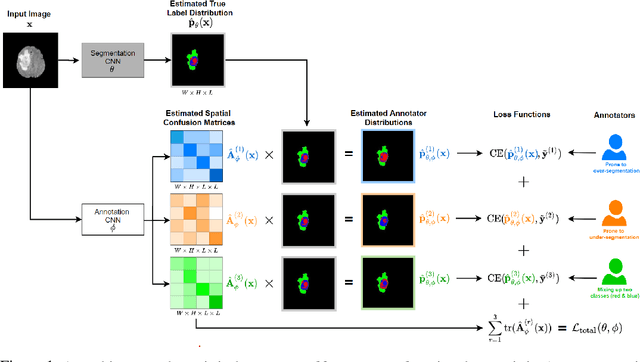 Figure 1 for Disentangling Human Error from the Ground Truth in Segmentation of Medical Images