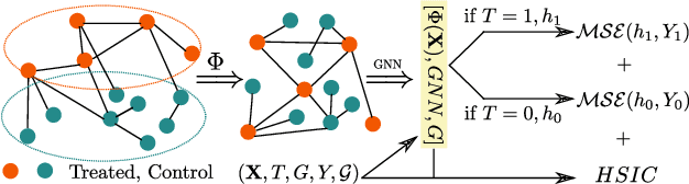 Figure 1 for Causal Inference under Networked Interference