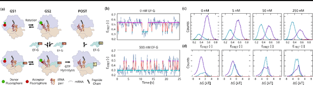 Figure 4 for Hierarchically-coupled hidden Markov models for learning kinetic rates from single-molecule data
