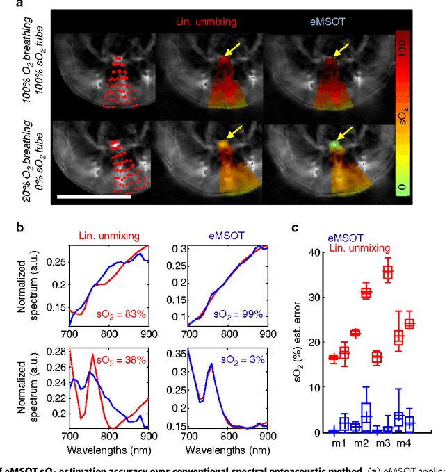 Figure 2 for Eigenspectra optoacoustic tomography achieves quantitative blood oxygenation imaging deep in tissues