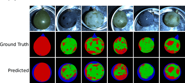 Figure 3 for Automated Phenotyping of Epicuticular Waxes of Grapevine Berries Using Light Separation and Convolutional Neural Networks
