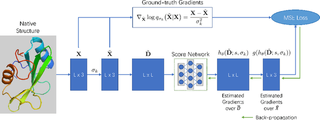 Figure 1 for EBM-Fold: Fully-Differentiable Protein Folding Powered by Energy-based Models