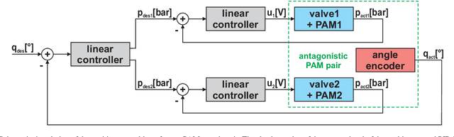 Figure 4 for Learning to Control Highly Accelerated Ballistic Movements on Muscular Robots