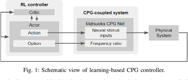 Figure 1 for Reinforcement Learning of a CPG-regulated Locomotion Controller for a Soft Snake Robot