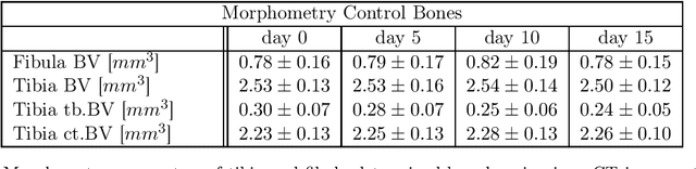 Figure 2 for Decoding the Rejuvenating Effects of Mechanical Loading on Skeletal Maturation using in Vivo Imaging and Deep Learning