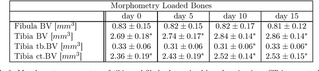 Figure 4 for Decoding the Rejuvenating Effects of Mechanical Loading on Skeletal Maturation using in Vivo Imaging and Deep Learning