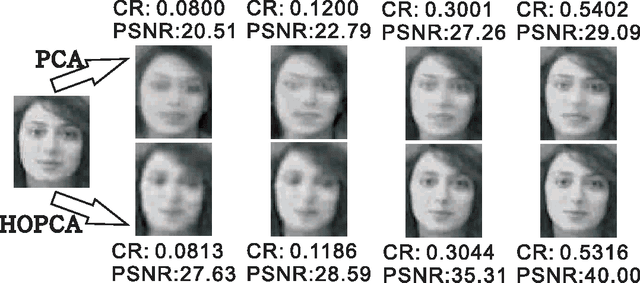 Figure 3 for A Report on Multilinear PCA Plus Multilinear LDA to Deal with Tensorial Data: Visual Classification as An Example