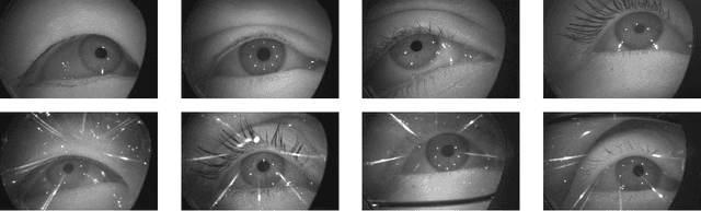 Figure 1 for OpenEDS2020: Open Eyes Dataset