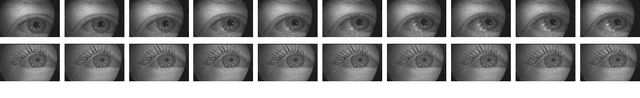 Figure 2 for OpenEDS2020: Open Eyes Dataset